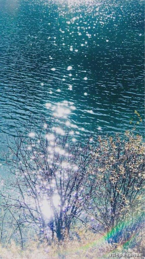 小初音大冒险