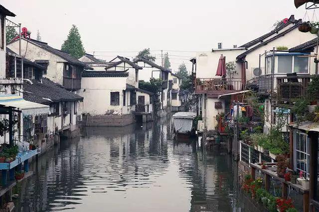 逃离金色的沙漠
